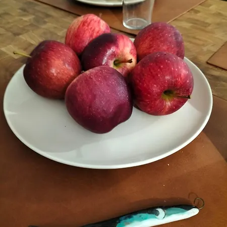 Vento Del Porto Appartement Gênes